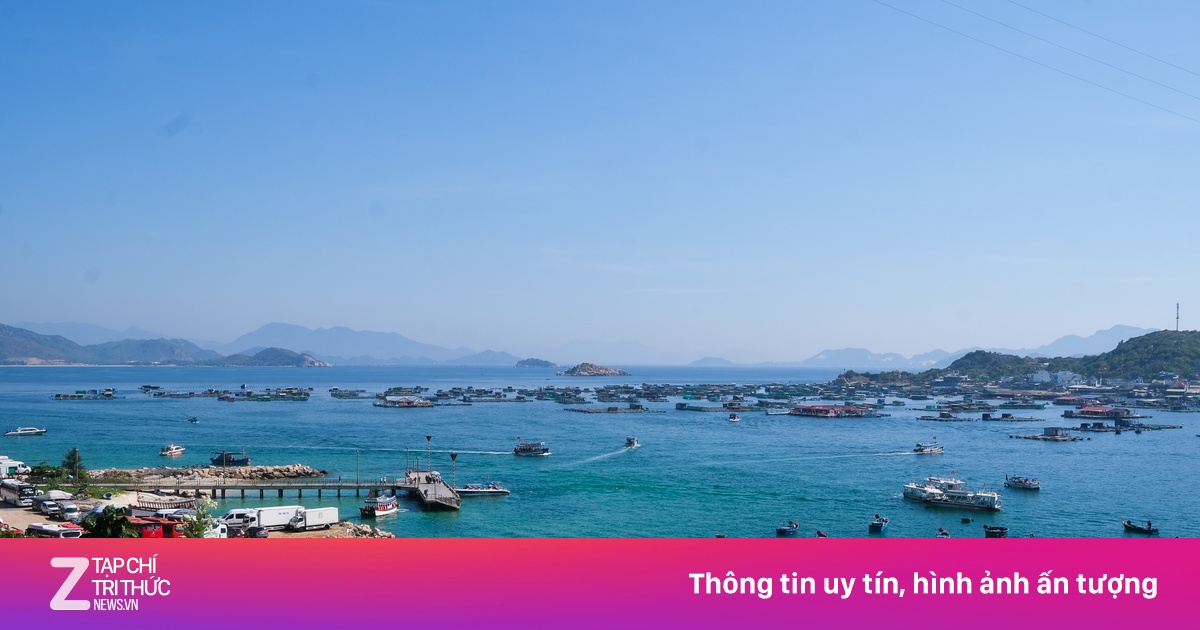 znews.vn