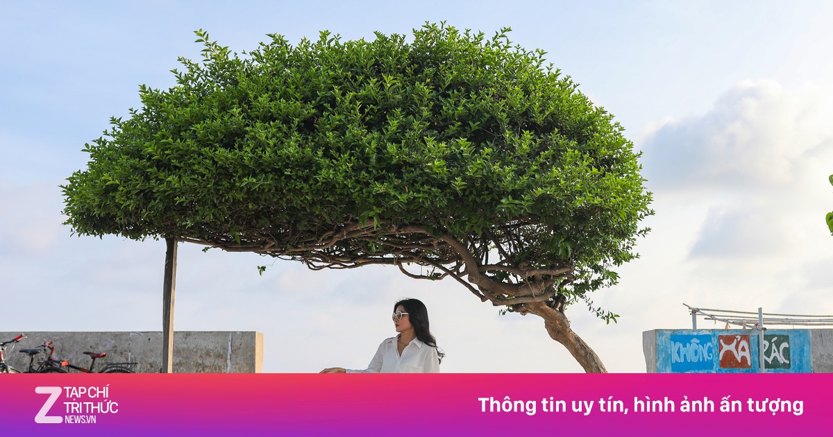 Mùa nghỉ lễ 'thắng đậm' của Măng Đen, Phú Quý