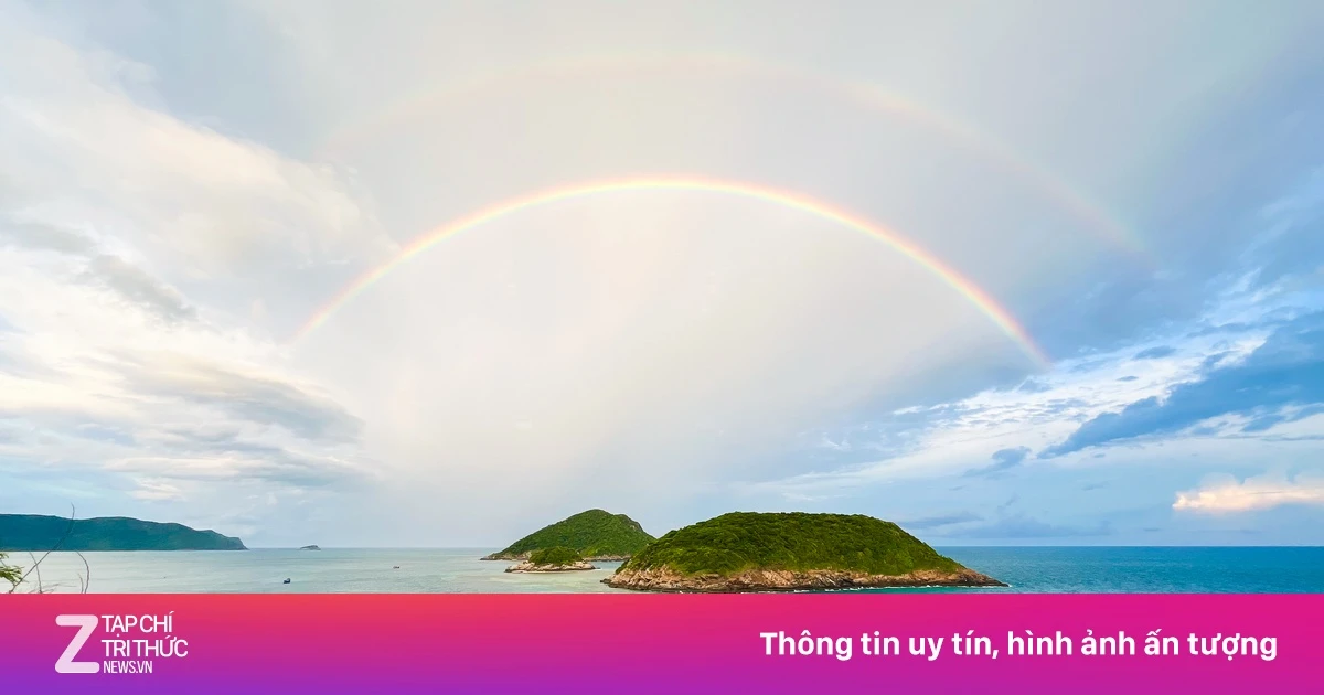 znews.vn