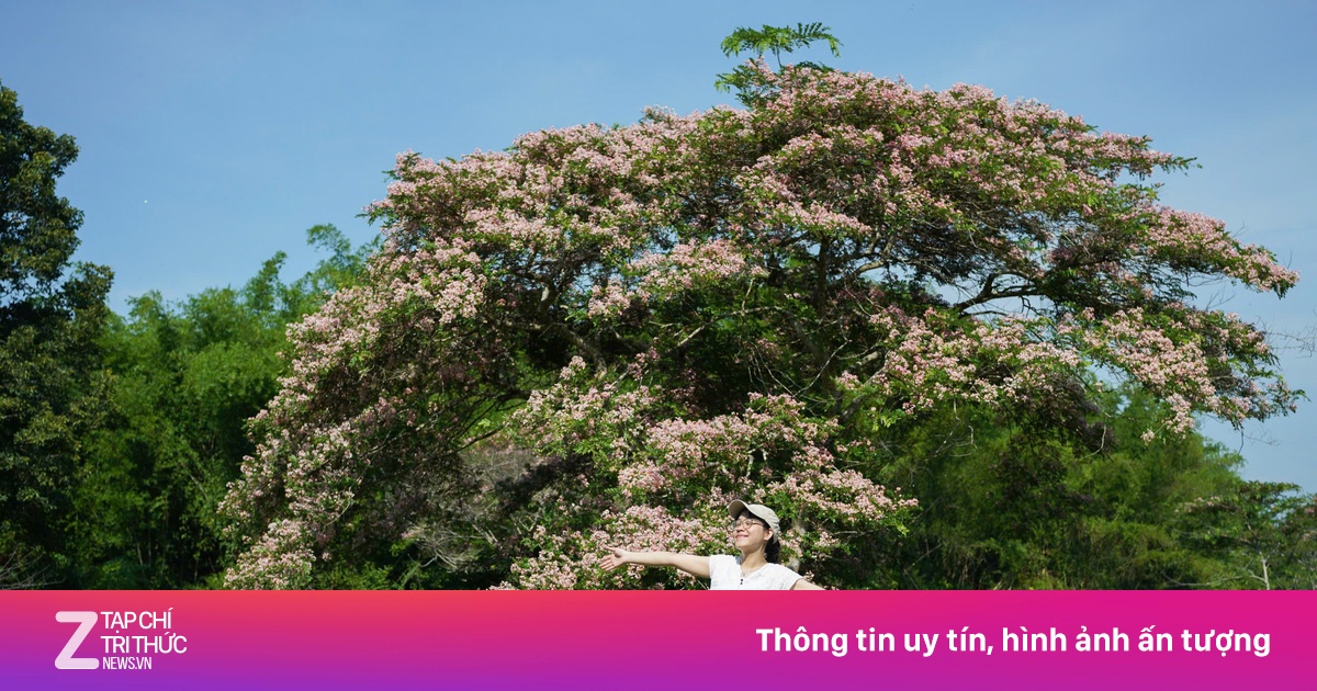 Vườn quốc gia Cát Tiên quá tải