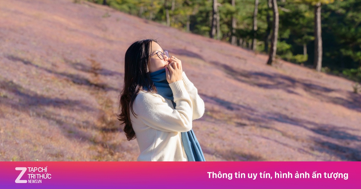 Có gì ở Đà Lạt sau mưa lớn, sạt lở?