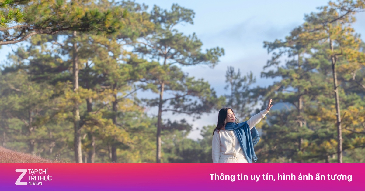 Đà Lạt là điểm du lịch được tìm kiếm nhiều nhất trên Google 2025