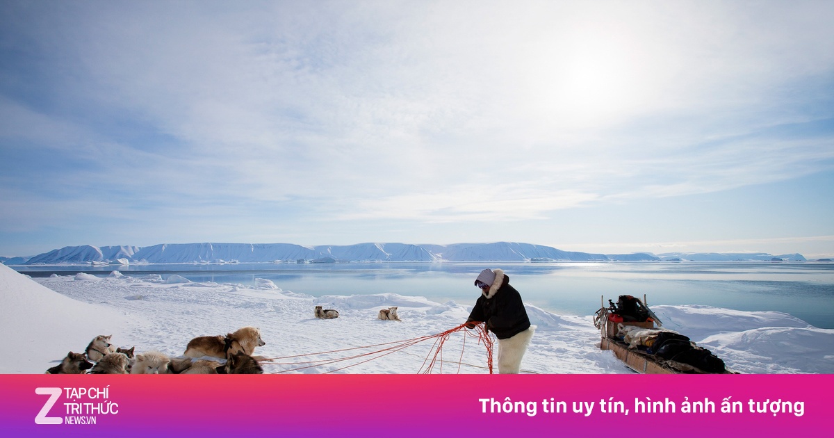 Nghề săn gấu Bắc Cực tại hòn đảo ông Trump muốn mua