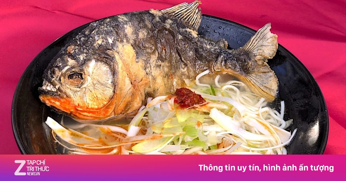 Ca Rang Tô mì ramen cá răng đao ở Nhật Bản | Znews.vn
