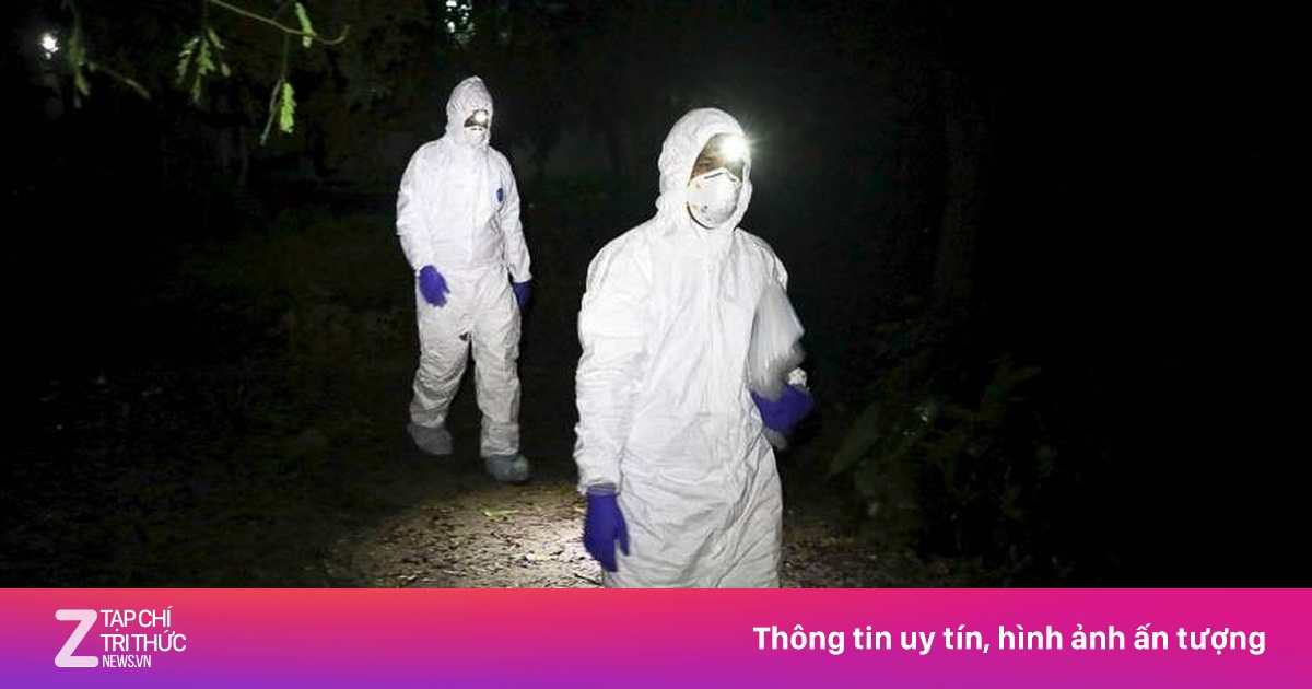 Sát Tết Nguyên đán, Trung Quốc lo dịch Nipah