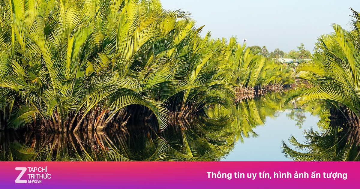 Ngôi làng nơi virus Nipah được phát hiện có gì đặc biệt?