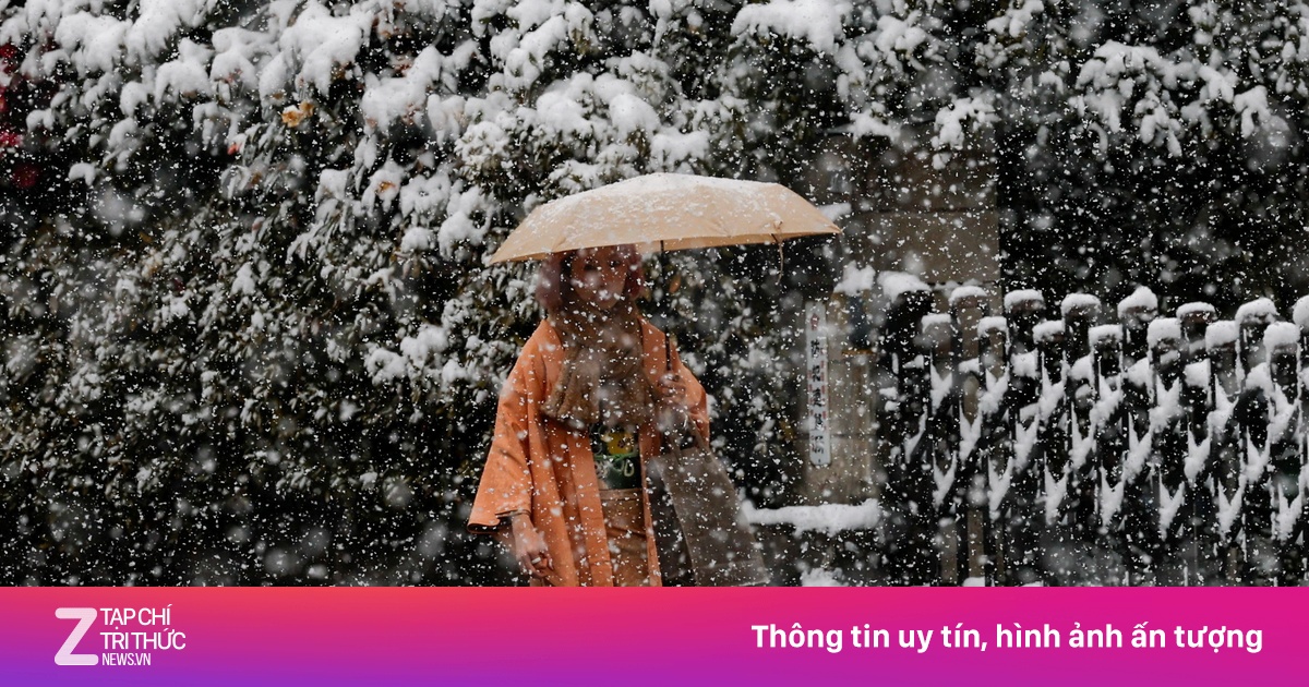 Nhật Bản, Hàn Quốc hứng chịu mưa tuyết kỷ lục 40 năm, ảnh hưởng bầu cử giữa mùa đông