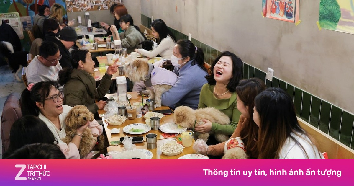 Xu hướng mới: Người trẻ Trung Quốc ăn tiệc tất niên cùng thú cưng thay vì gia đình