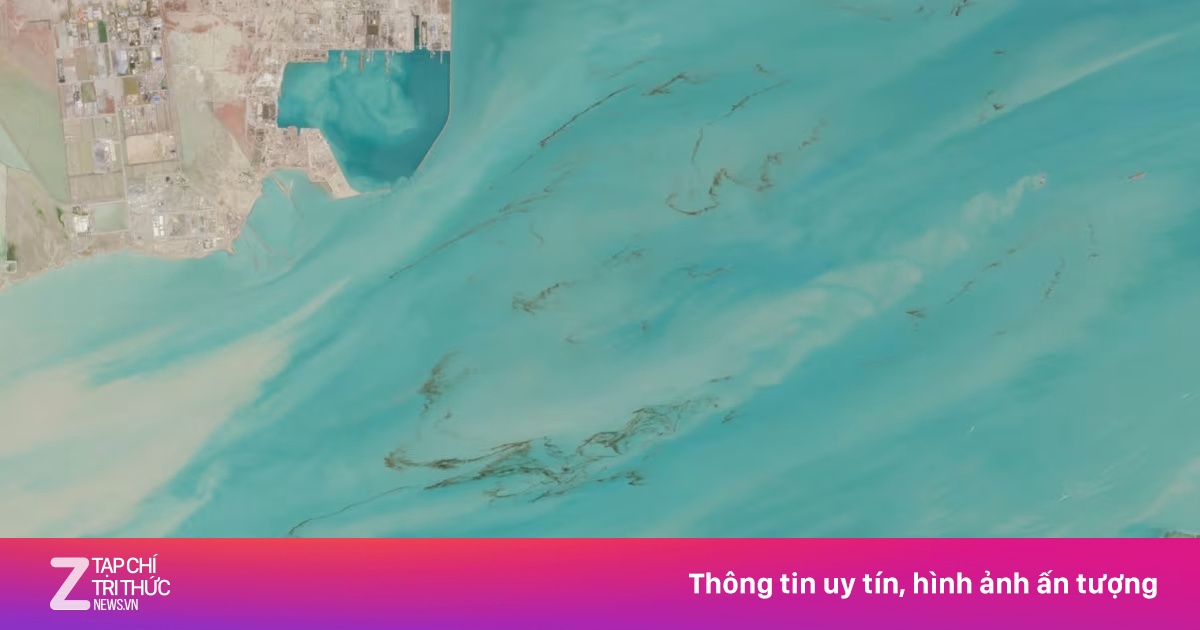 Vết Dầu Loang Trên Vịnh Ba Tư: Báo Động Thảm Họa Môi Trường Và Áp Lực Kinh Tế