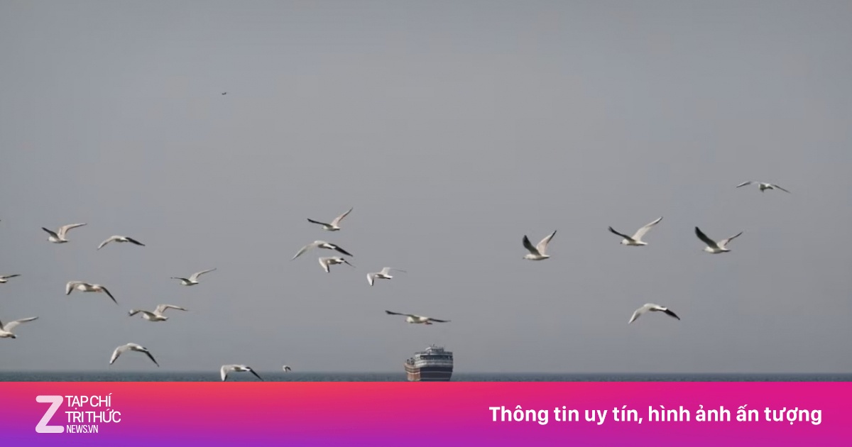 Bài học từ thập niên 1980 có giúp Mỹ giải bẫy thủy lôi Iran ở Hormuz?