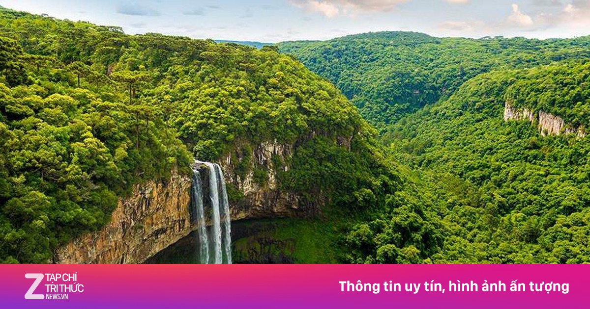 Khám phá thế giới giải trí đỉnh cao cùng https//zik88.living/ - Trải nghiệm không giới hạn!