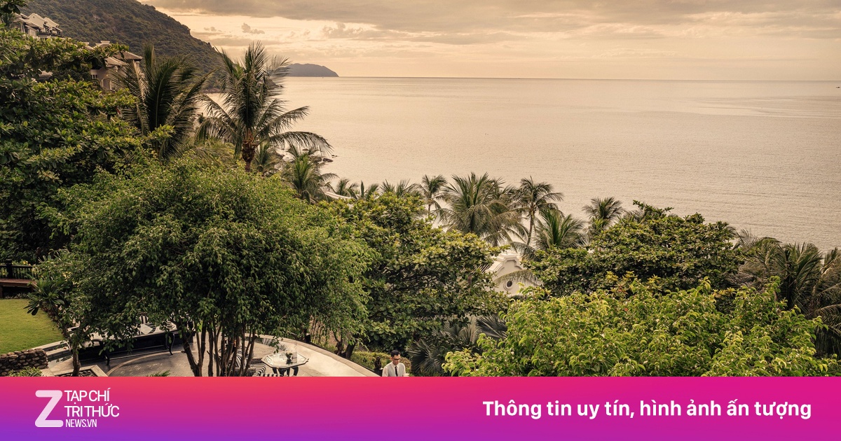 Tại sao Michelin Guide năm nay tổ chức tại Đà Nẵng?