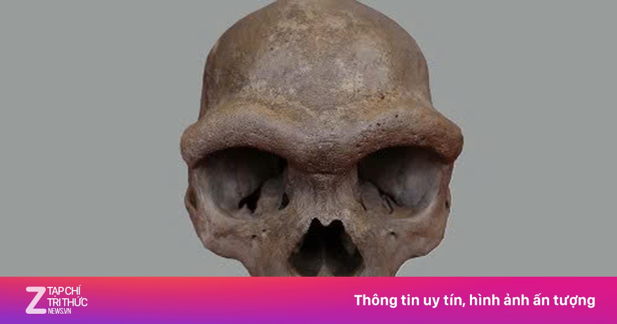 Hộp sọ kỳ lạ tiết lộ khuôn mặt quần thể người tiền sử