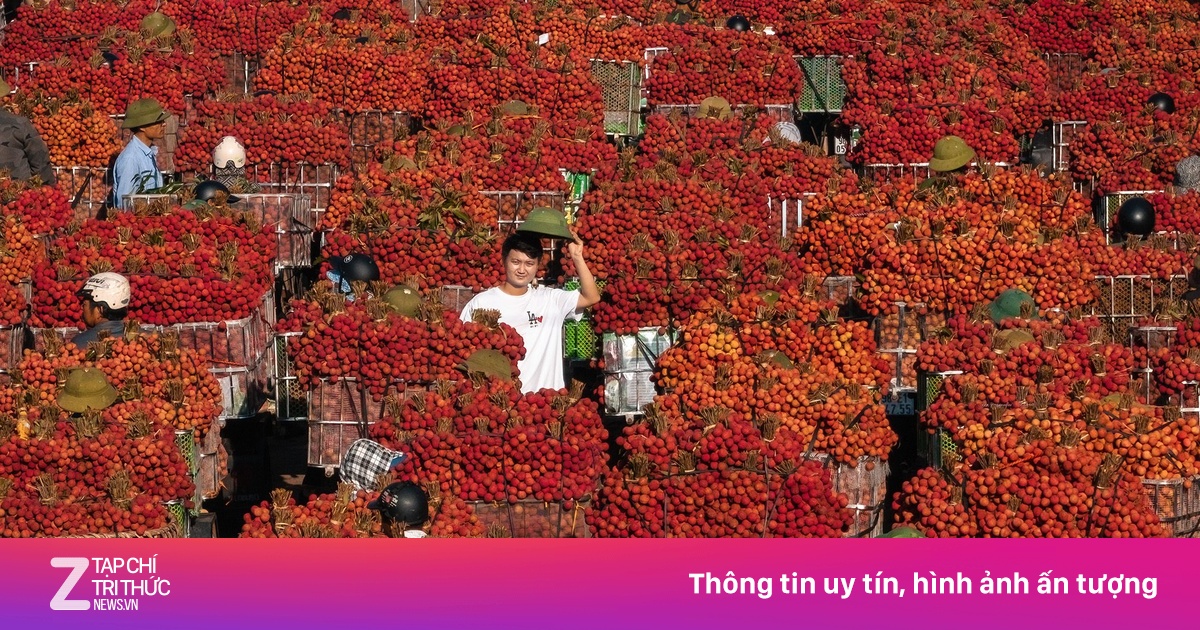 Cảnh 'tắc đường' mùa vải thiều chín rộ nhất trong năm