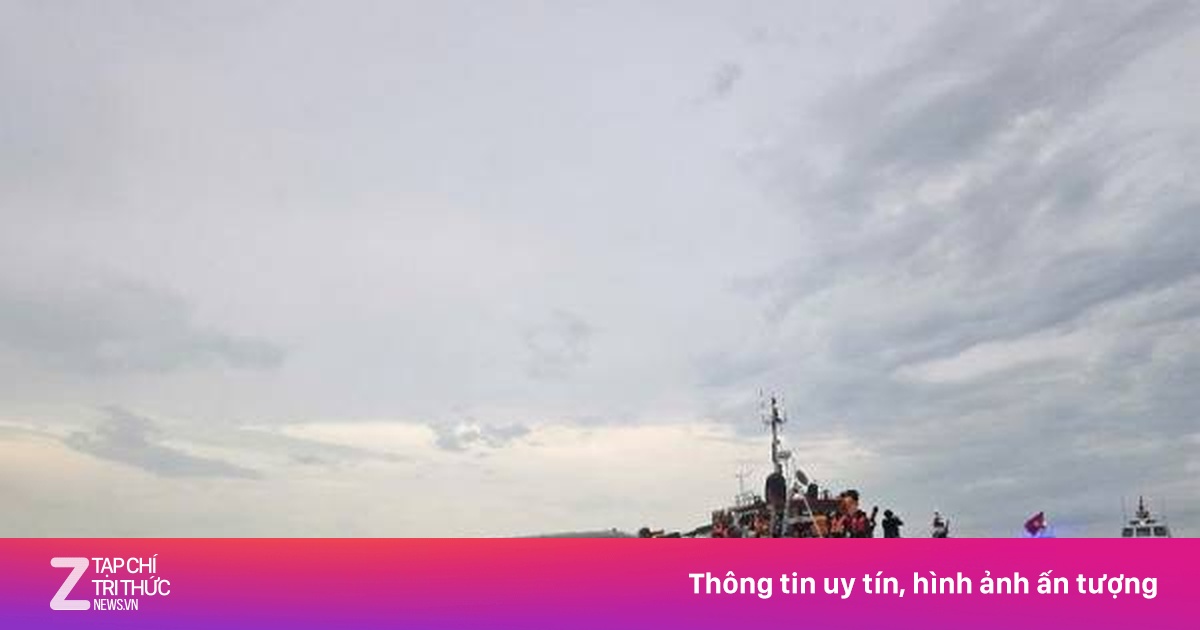 znews.vn