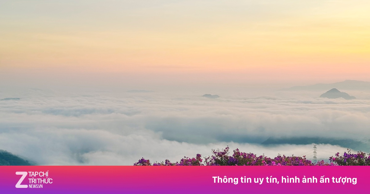 'Săn' sim tím giữa biển mây đẹp siêu thực ở Sơn La