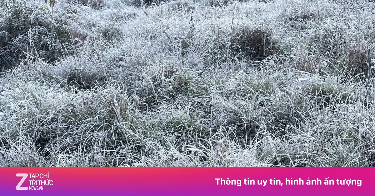 Băng giá phủ trắng Y Tý, khách đổ xô đặt kín phòng