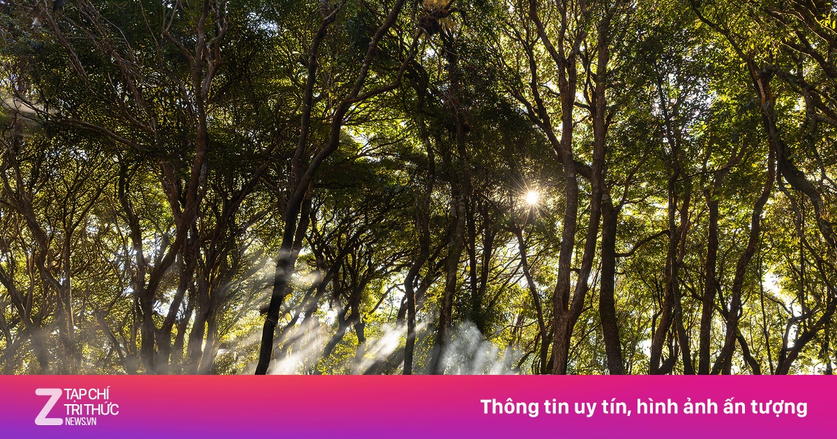 Cấm trekking tự phát một số đỉnh núi cao nhất Việt Nam