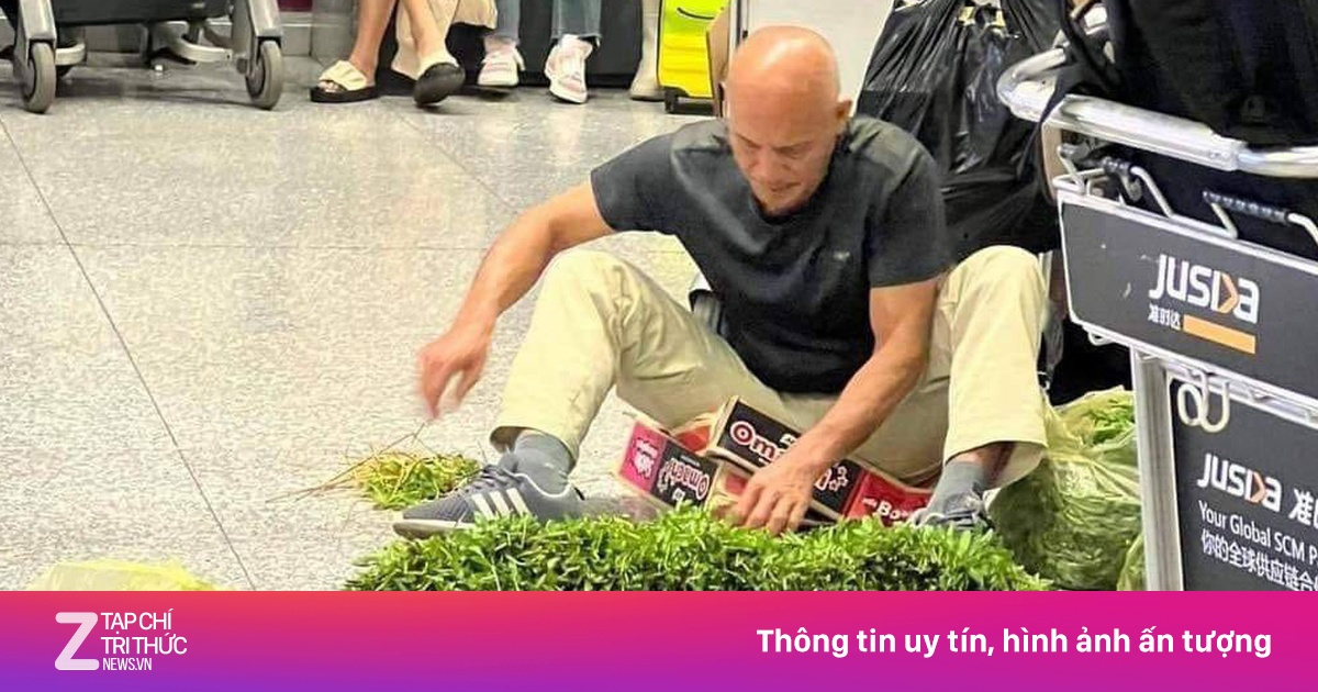 Thực hư 'ông Tây' ngồi nhặt rau muống giữa sân bay Nội Bài