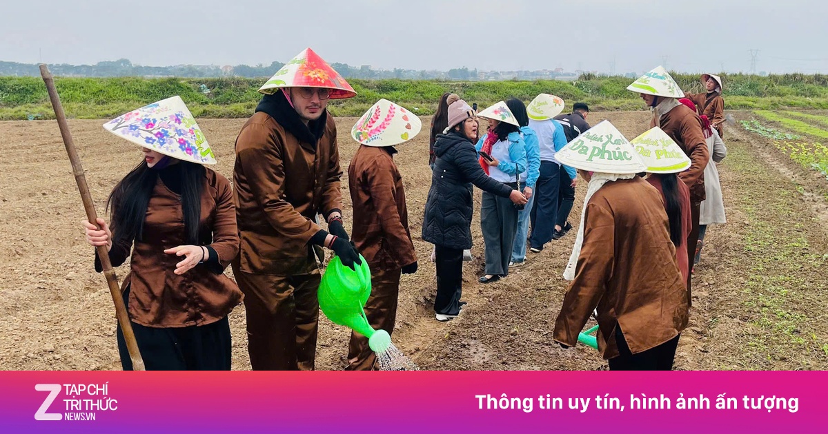 Khách Tây trồng rau giữa trời 10 độ C ở Hà Nội