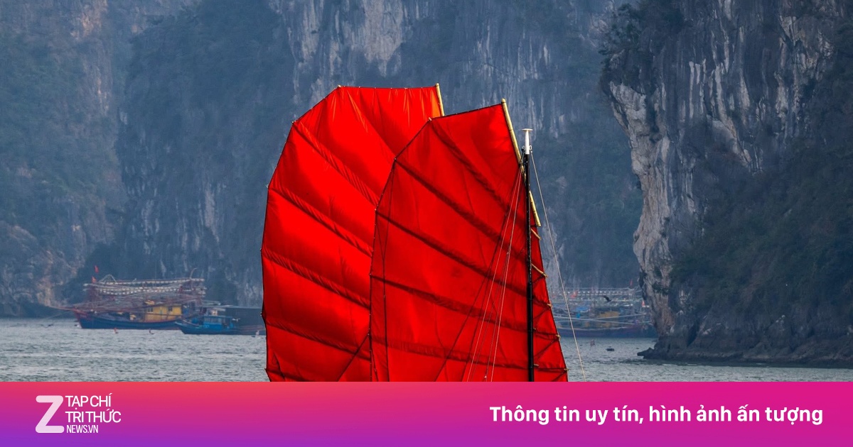Thuyền buồm hiếm thấy trên vịnh Hạ Long