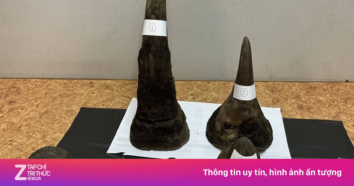 Du khách Việt bị bắt tại Thái Lan vì giấu gần 12 kg sừng tê giác trong hành lý