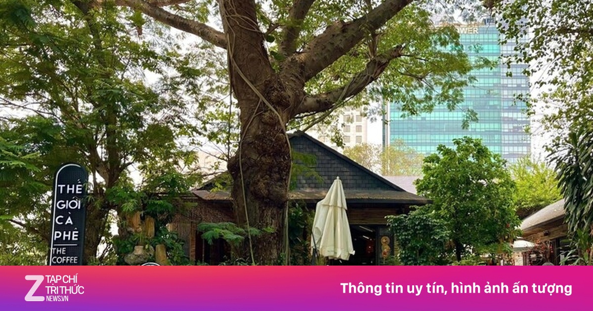 Loạt nhà hàng, quán cà phê nổi tiếng ở trung tâm TP.HCM đóng cửa