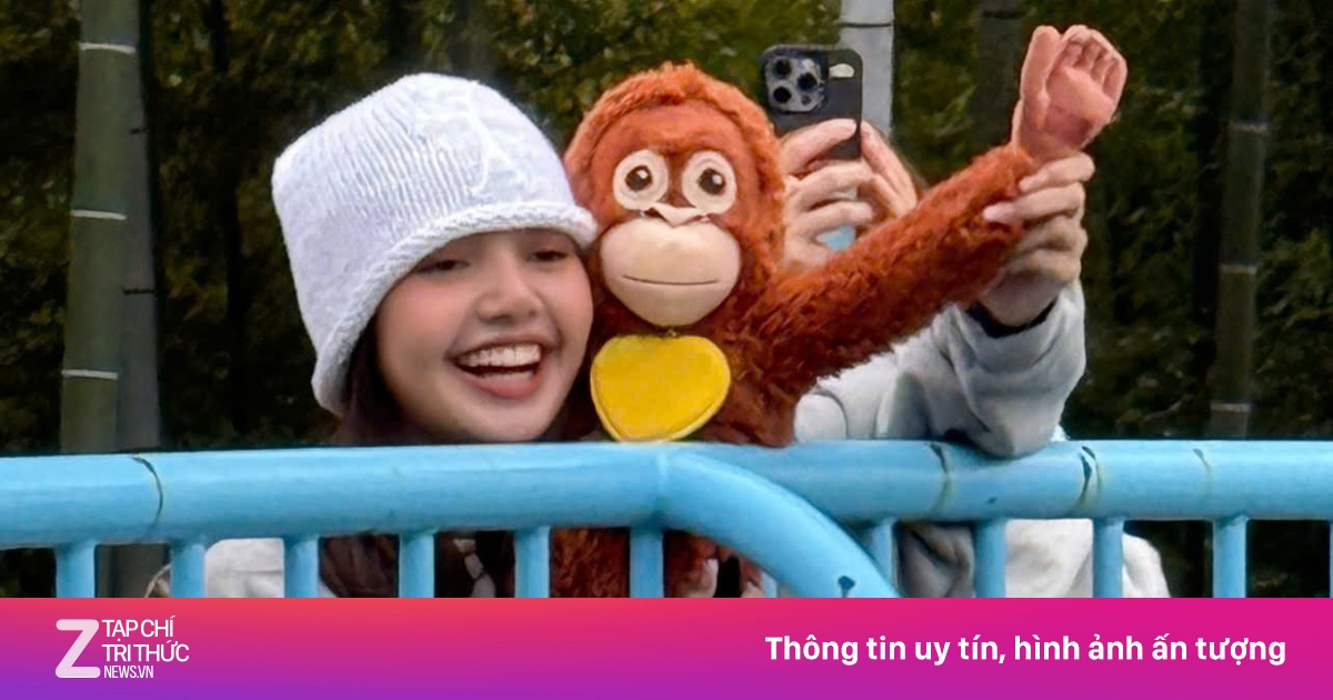 Lisa (BlackPink) thăm khỉ Punch bị mẹ bỏ rơi