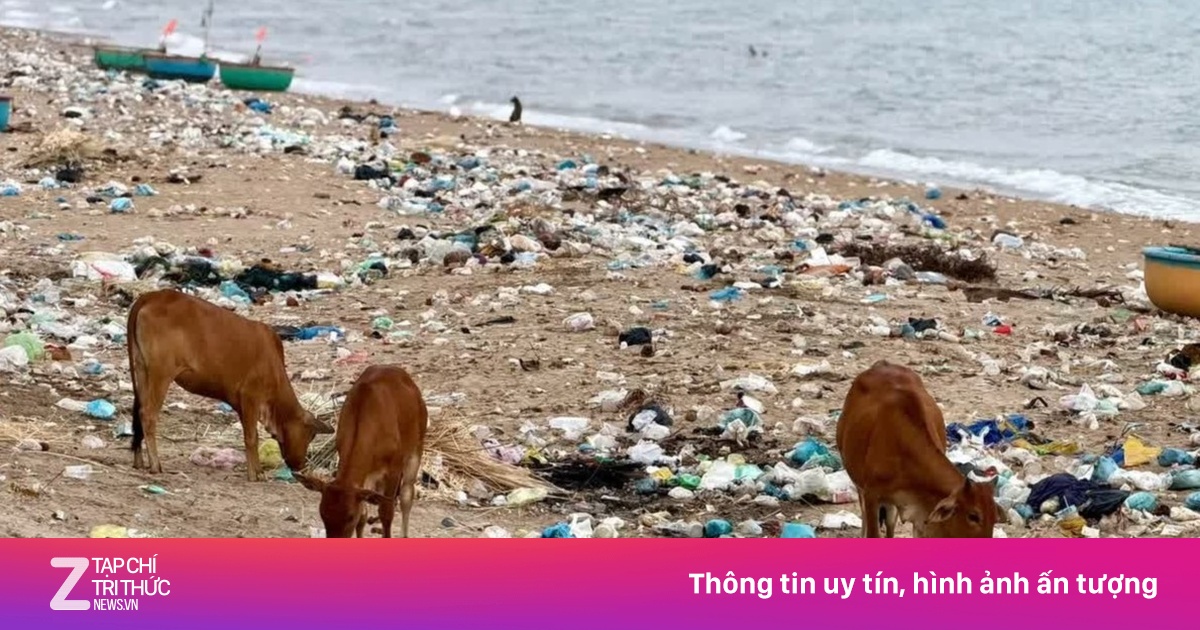 Rác thải bủa vây bãi biển Lâm Đồng, cảnh báo ô nhiễm môi trường nghiêm trọng