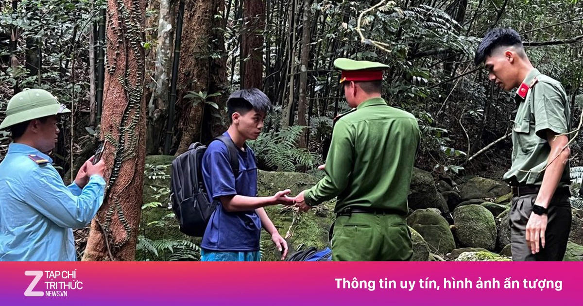 Cảnh báo sau vụ nam sinh đi lạc, bị ong đốt trong rừng Tây Yên Tử