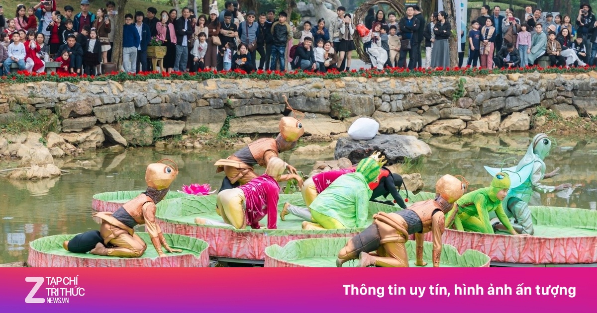 Đàn kiến 'múa' trong show thực cảnh ở Ninh Bình hút 6 triệu lượt xem