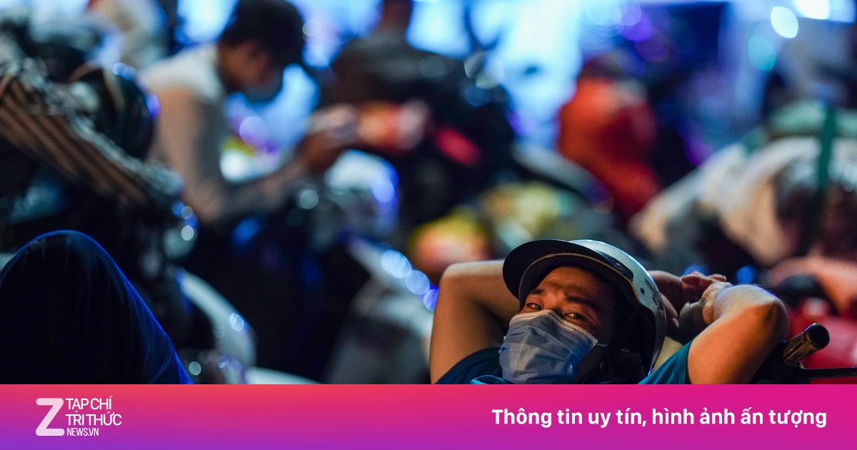 zingnews.vn