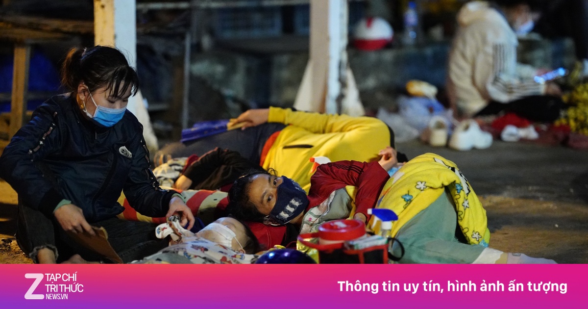 zingnews.vn