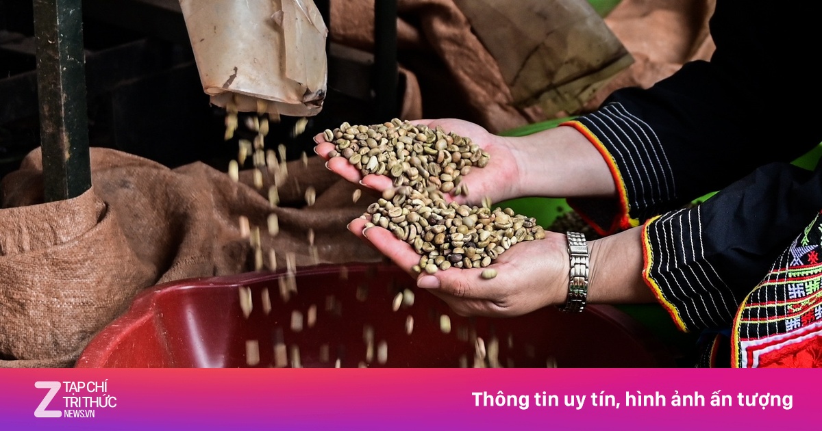 Thủ tướng giao nghiên cứu hỗ trợ DN tạm trữ gạo, cà phê tránh rớt giá
