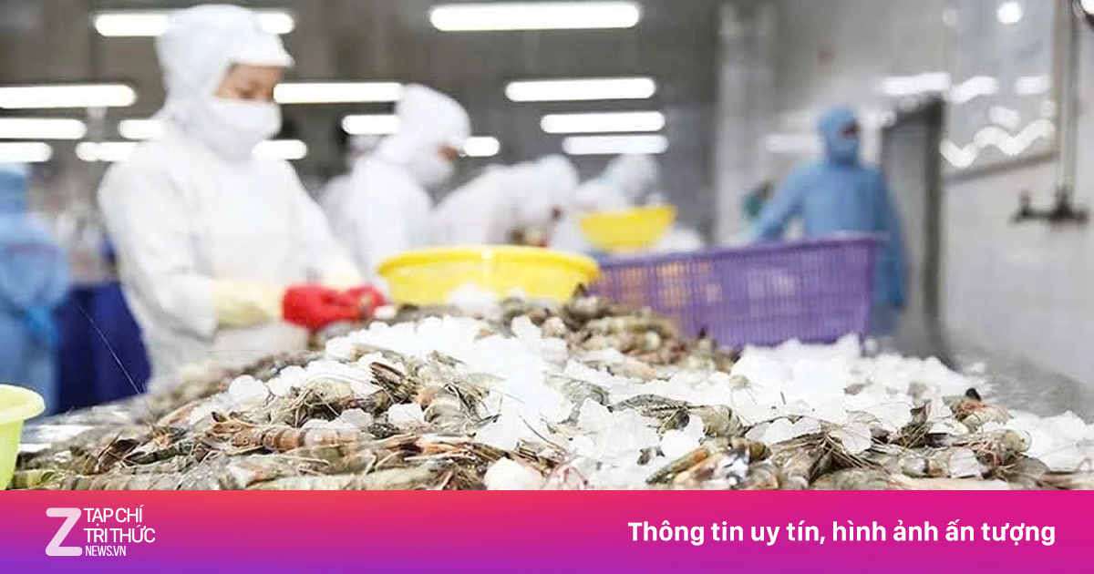 Mỹ áp thuế chống bán phá giá tôm Việt Nam