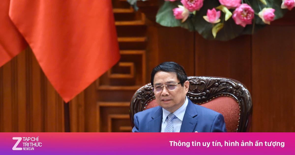 znews.vn