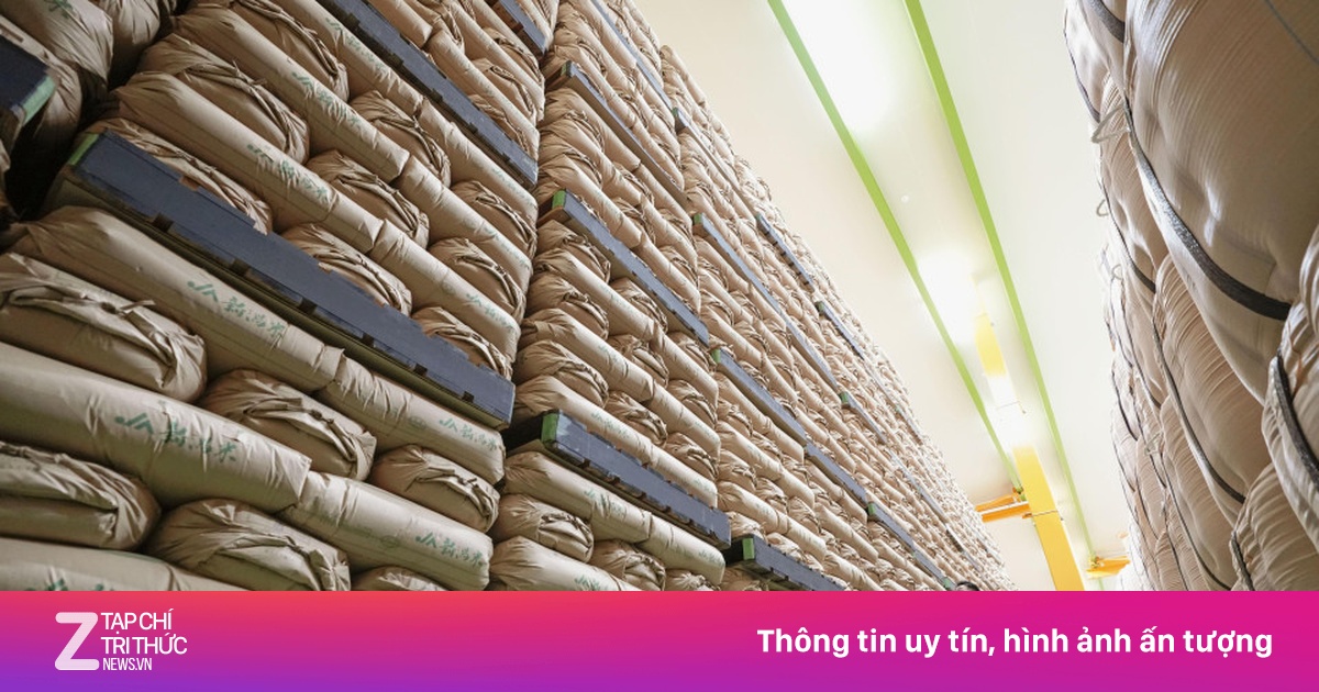 Nhật Bản bán gạo dự trữ để kìm đà tăng giá