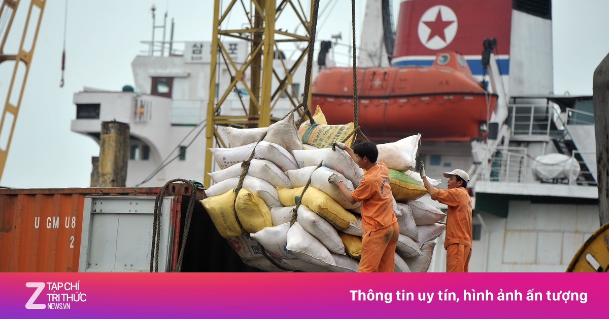 Giá gạo Việt Nam giảm gần 19%