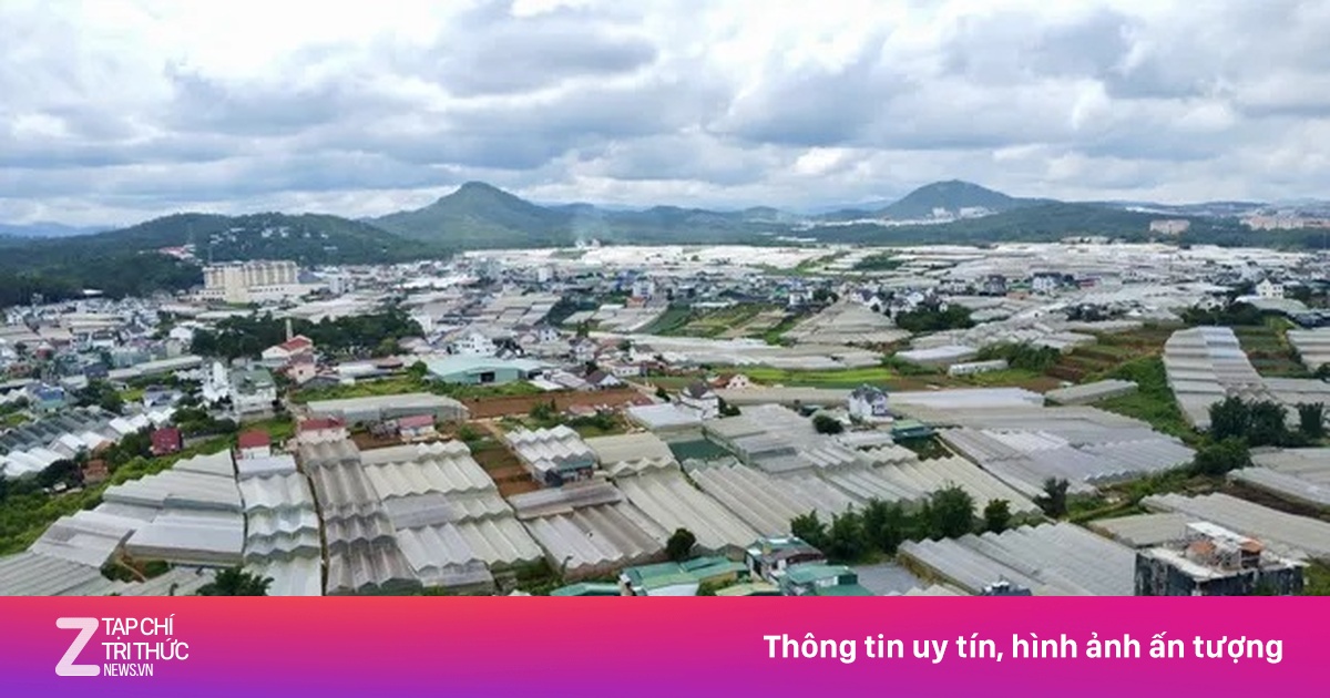 Giao dịch đất nền tại Lâm Đồng tăng mạnh, vượt mốc 7.400 tỷ đồng