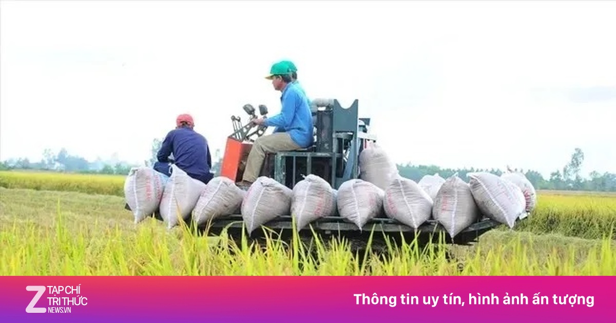 Việt Nam thu 33,8 tỷ USD từ xuất khẩu nông sản, Mỹ nhập nhiều nhất