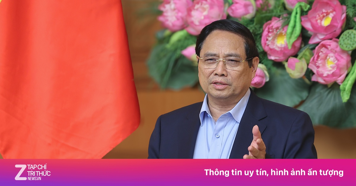 znews.vn