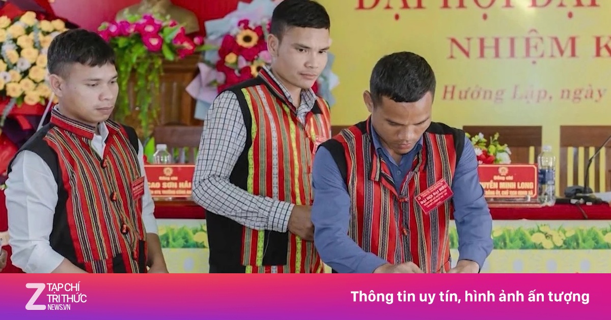znews.vn