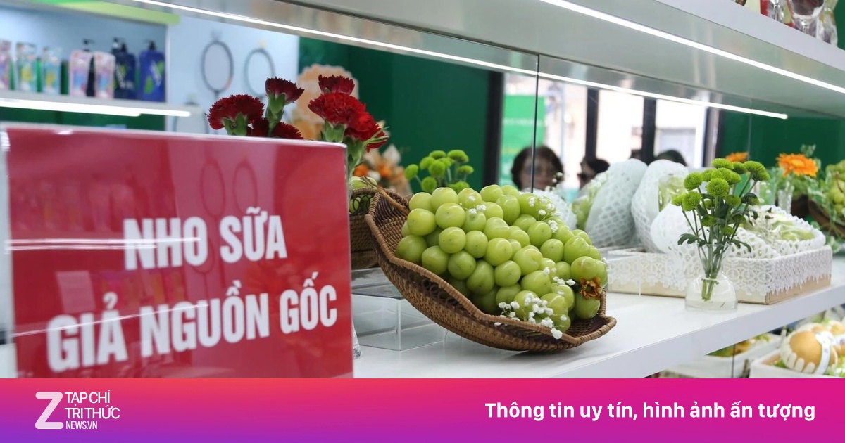 Cận cảnh loạt trái cây 'hot' bị nhái nguồn gốc, lừa người tiêu dùng