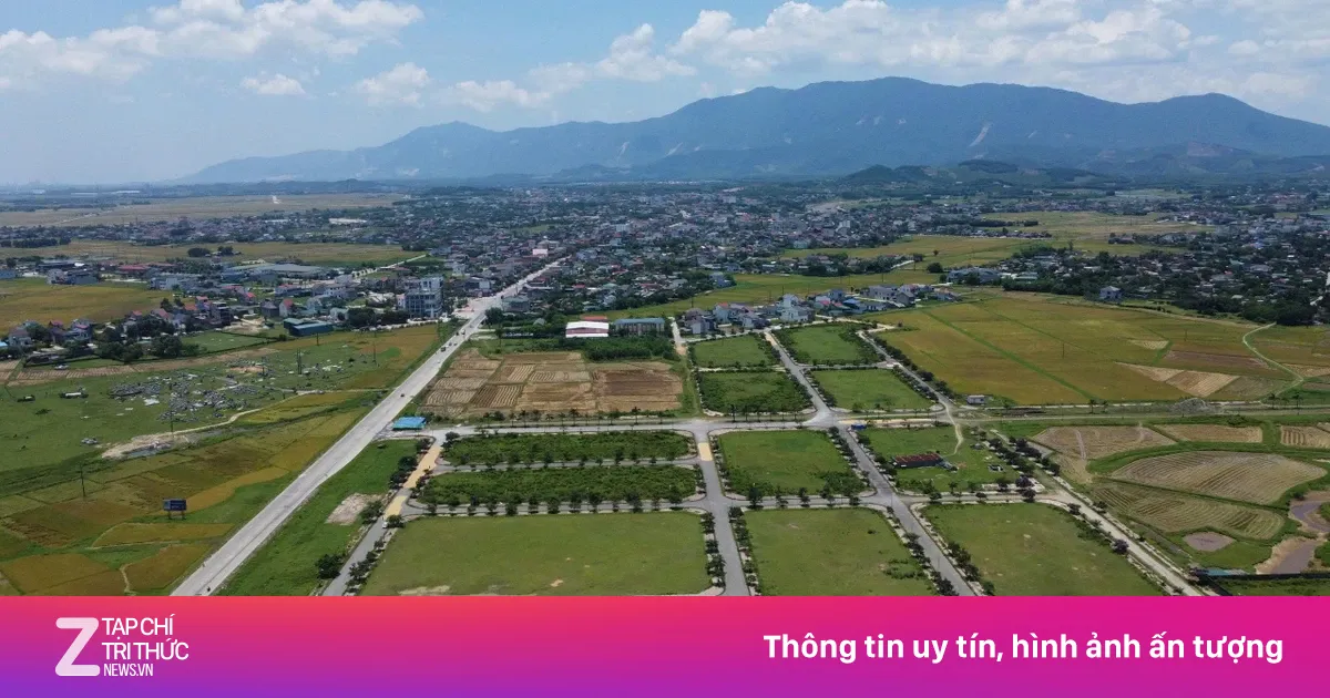 Hà Tĩnh: Gần 50 lô đất 10 năm ế ẩm bất ngờ trúng đấu giá cao gây 'sốc'