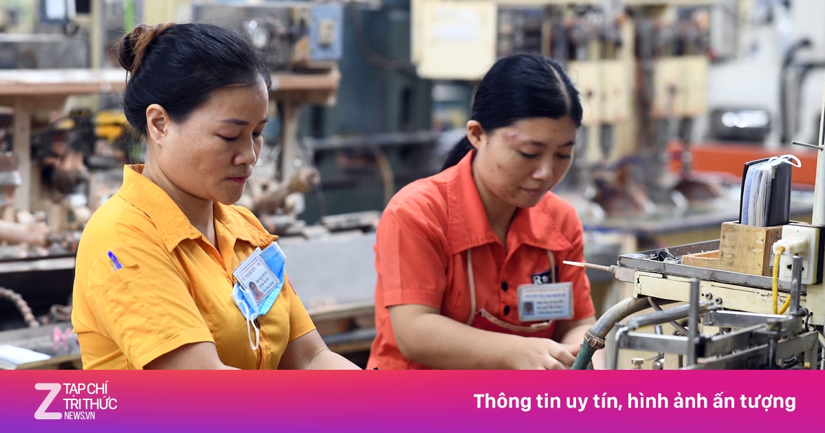 Số công ty Nhật Bản có lãi tại Việt Nam cao kỷ lục