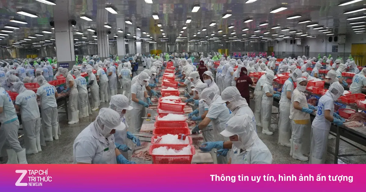 Đồng Tháp thưởng Tết cao nhất 300 triệu đồng/người