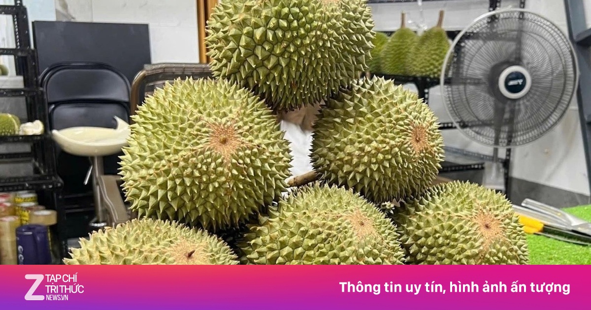 Sầu riêng gai đen tiền triệu mỗi trái vẫn 'cháy hàng'