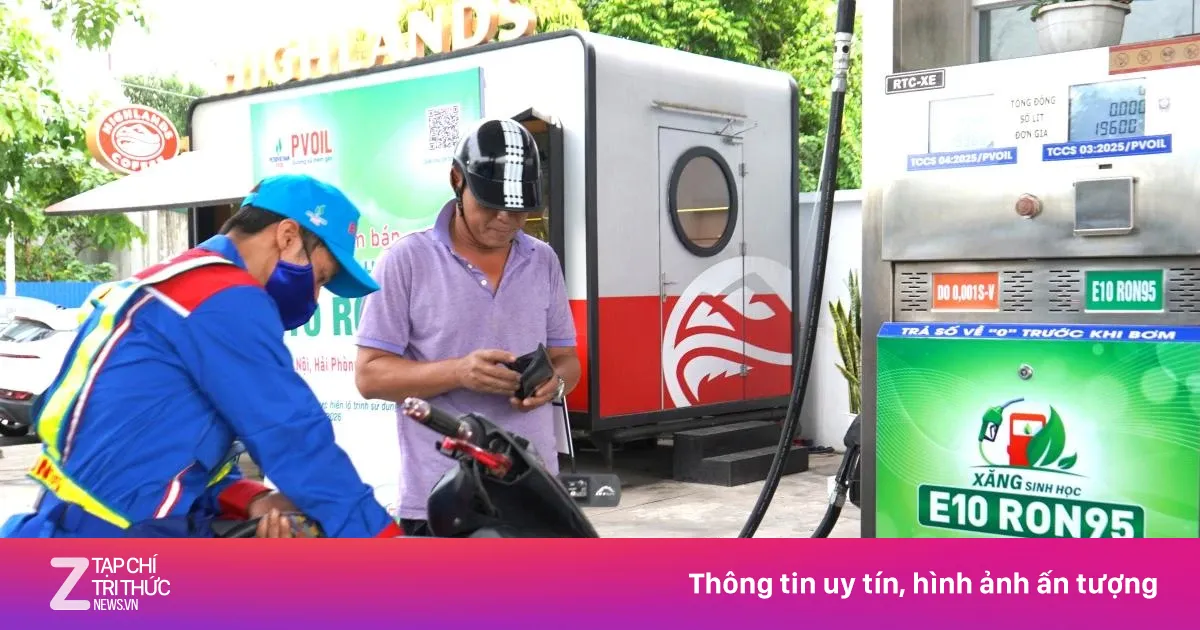 znews.vn
