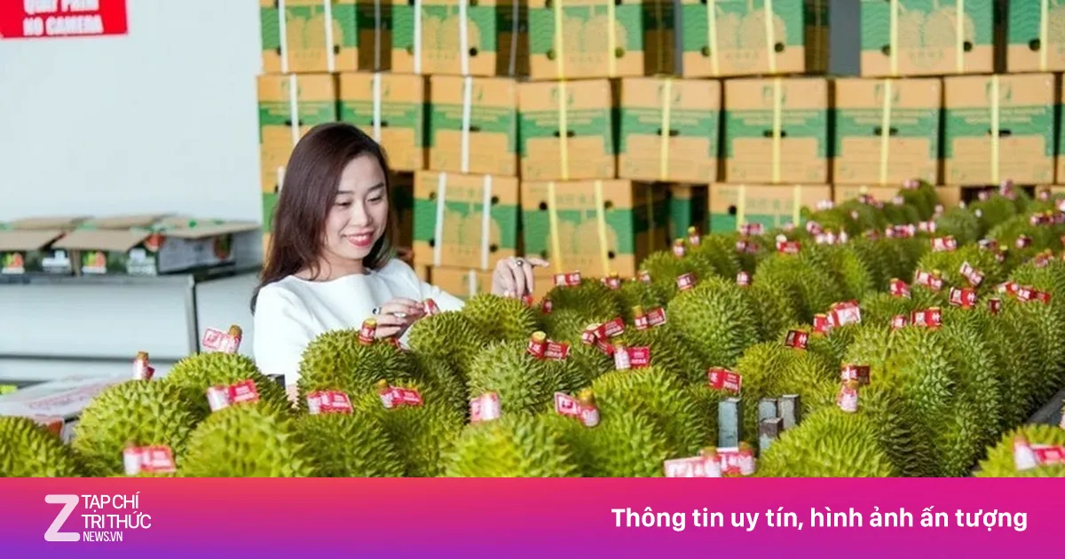 Thương Mại Việt - Trung Tăng Tốc Kỷ Lục, Đầu Tư Và Chuỗi Cung Ứng Gắn Kết Sâu