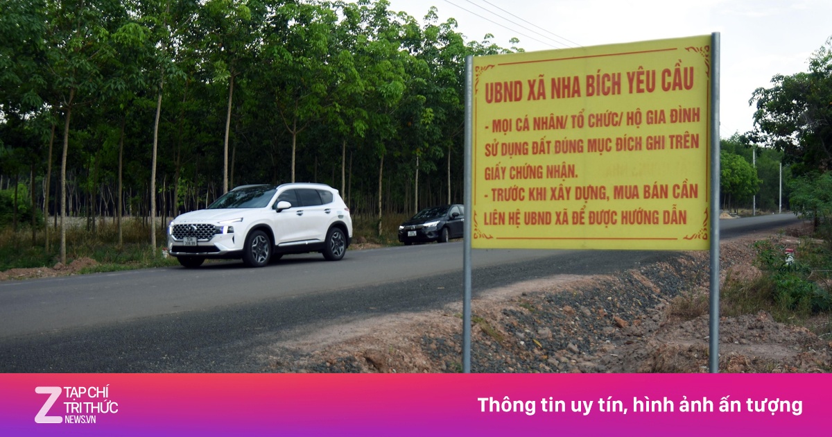 Đất nền phân lô giảm 50% vẫn ế: Chuyên gia chỉ ra nguyên nhân cốt lõi